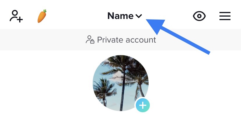 TikTok Name
